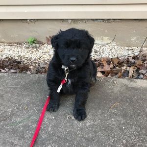 Meet your Posher, Bethany